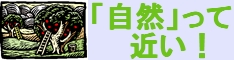 「自然」って近い！